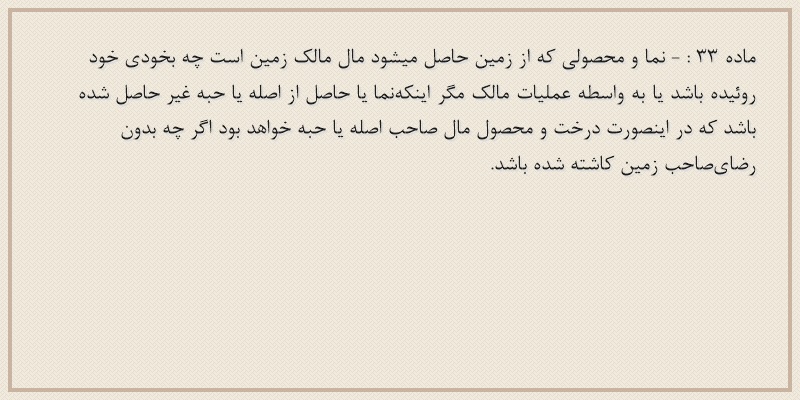 ماده۳۳