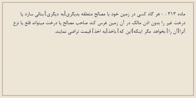 ماده۳۱۳