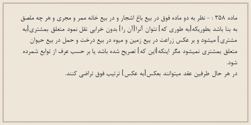 ماده۳۵۸