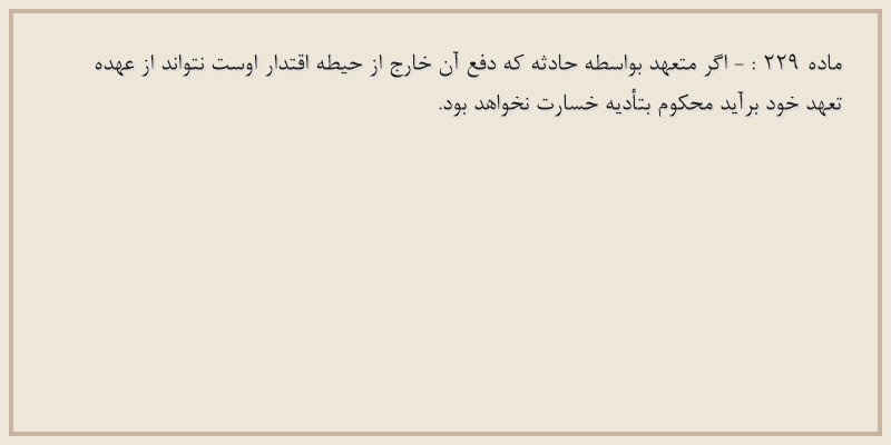 ماده۲۲۹