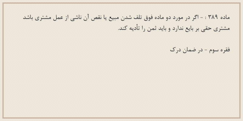 ماده۳۸۹