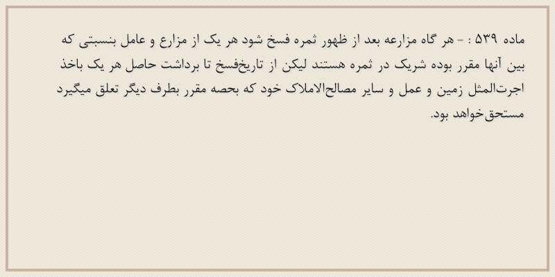 ماده۵۳۹