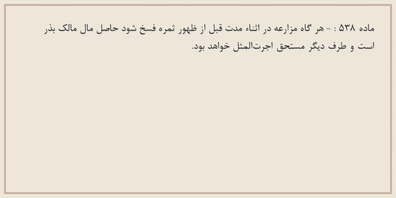 ماده۵۳۸