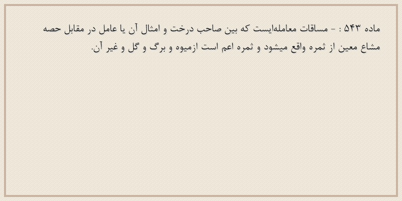 ماده۵۴۳