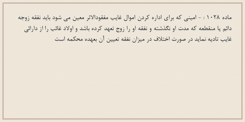 ماده۱۰۲۸