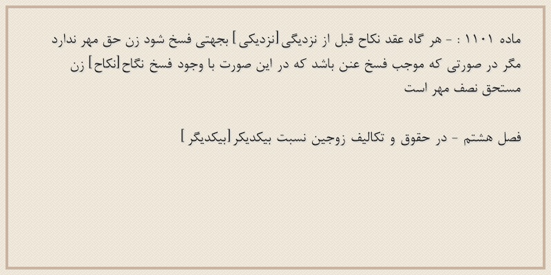 ماده۱۱۰۱