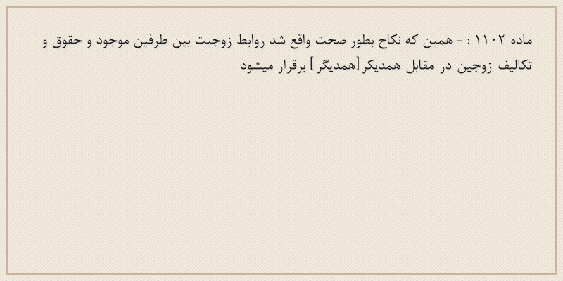 ماده۱۱۰۲
